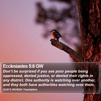 Ecclesiastes 5:8 GW Bible Verse Image