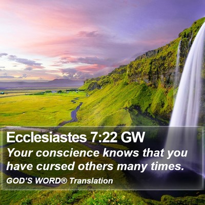 Ecclesiastes 7:22 GW Bible Verse Image