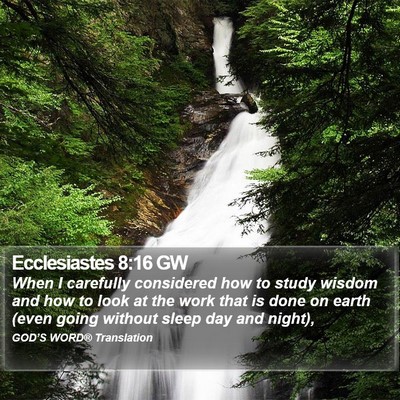 Ecclesiastes 8:16 GW Bible Verse Image