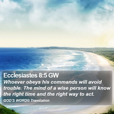 Ecclesiastes 8:5 GW Bible Verse Image