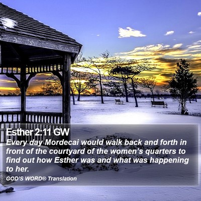 Esther 2:11 GW Bible Verse Image