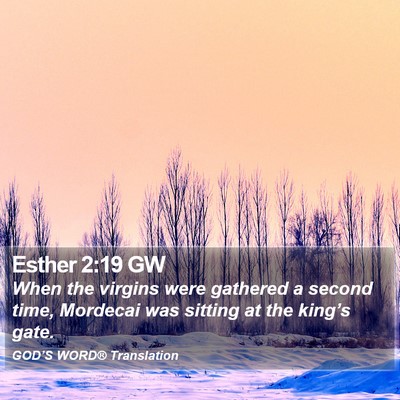 Esther 2:19 GW Bible Verse Image