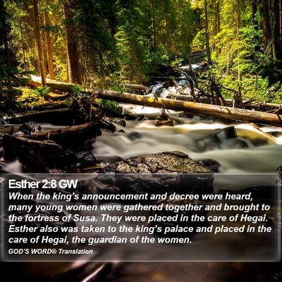 Esther 2:8 GW Bible Verse Image