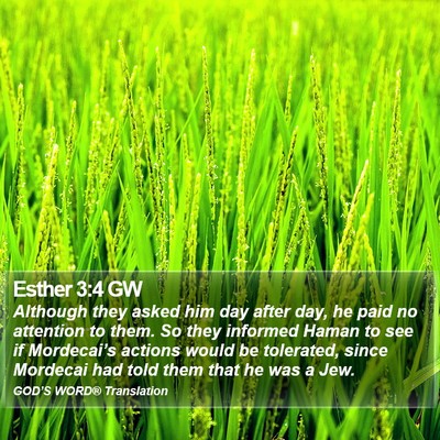 Esther 3:4 GW Bible Verse Image