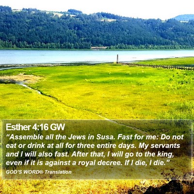 Esther 4:16 GW Bible Verse Image