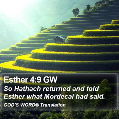 Esther 4:9 GW Bible Verse Image