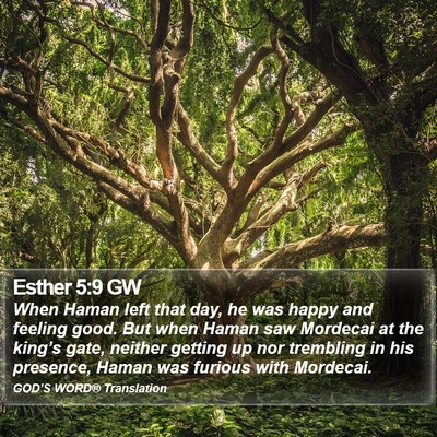Esther 5:9 GW Bible Verse Image
