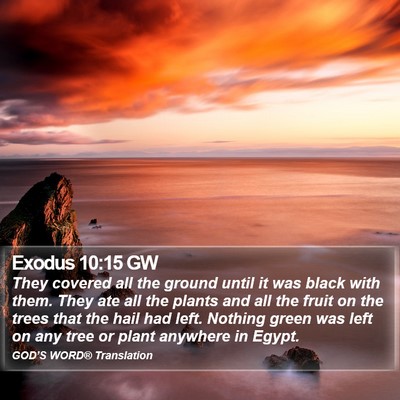 Exodus 10:15 GW Bible Verse Image