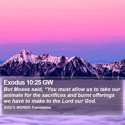 Exodus 10:25 GW Bible Verse Image