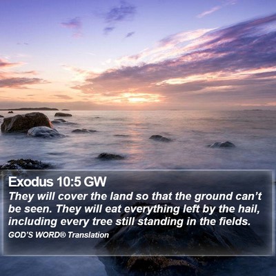Exodus 10:5 GW Bible Verse Image