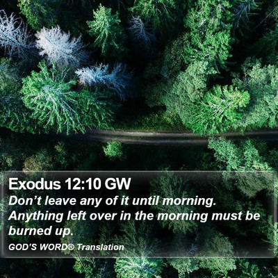 Exodus 12:10 GW Bible Verse Image