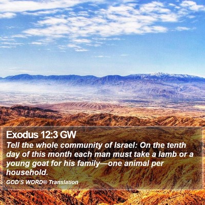 Exodus 12:3 GW Bible Verse Image