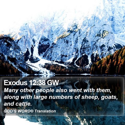 Exodus 12:38 GW Bible Verse Image