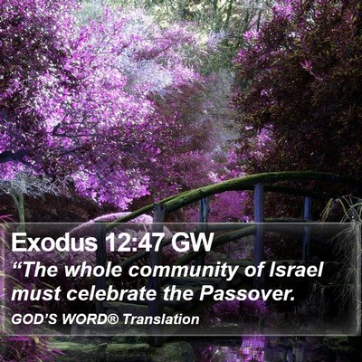 Exodus 12:47 GW Bible Verse Image