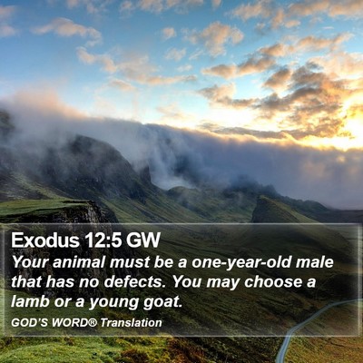 Exodus 12:5 GW Bible Verse Image