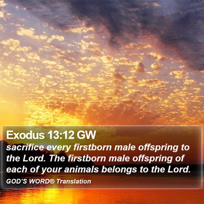 Exodus 13:12 GW Bible Verse Image