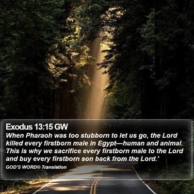 Exodus 13:15 GW Bible Verse Image