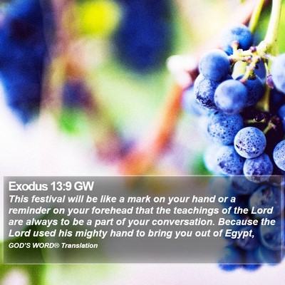 Exodus 13:9 GW Bible Verse Image