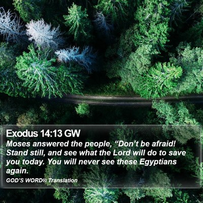 Exodus 14:13 GW Bible Verse Image