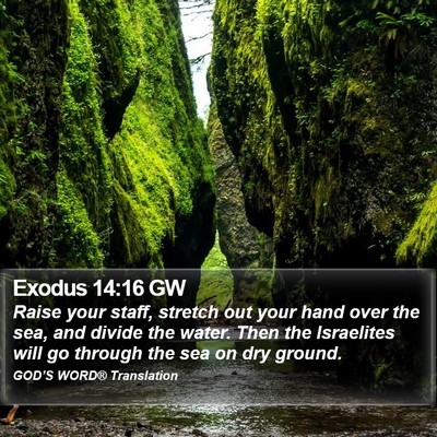 Exodus 14:16 GW Bible Verse Image