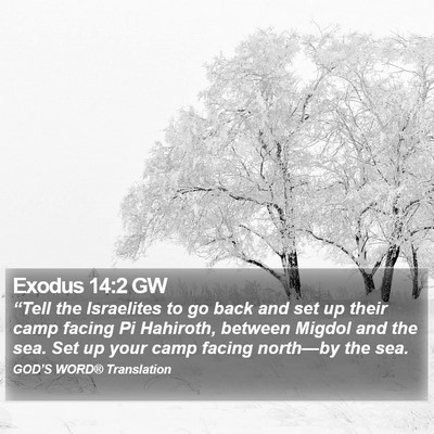 Exodus 14:2 GW Bible Verse Image