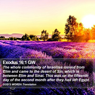 Exodus 16:1 GW Bible Verse Image