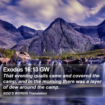 Exodus 16:13 GW Bible Verse Image