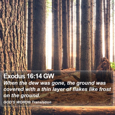 Exodus 16:14 GW Bible Verse Image