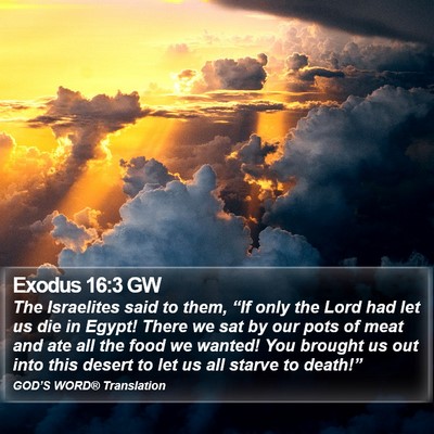 Exodus 16:3 GW Bible Verse Image