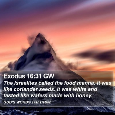 Exodus 16:31 GW Bible Verse Image