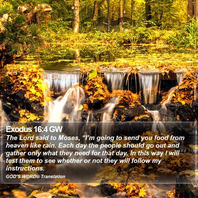 Exodus 16:4 GW Bible Verse Image