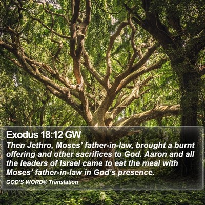 Exodus 18:12 GW Bible Verse Image