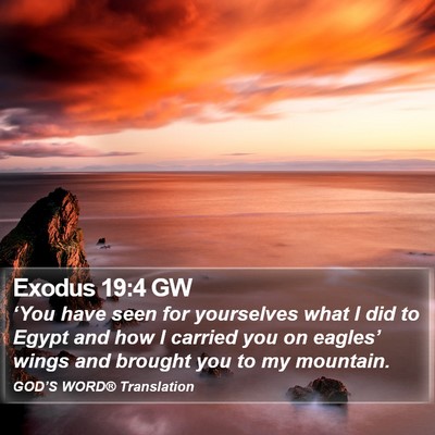 Exodus 19:4 GW Bible Verse Image