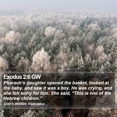 Exodus 2:6 GW Bible Verse Image