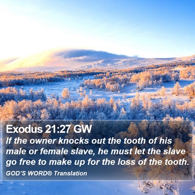 Exodus 21:27 GW Bible Verse Image