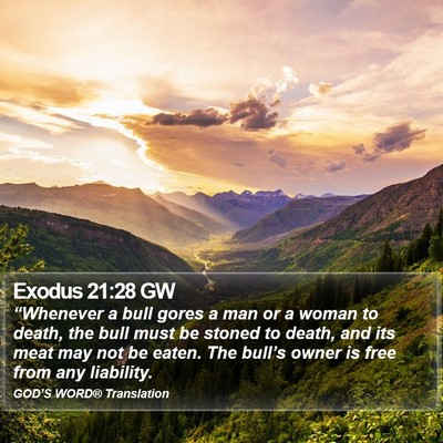 Exodus 21:28 GW Bible Verse Image