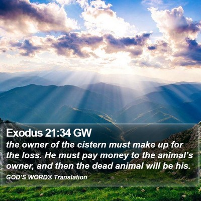 Exodus 21:34 GW Bible Verse Image