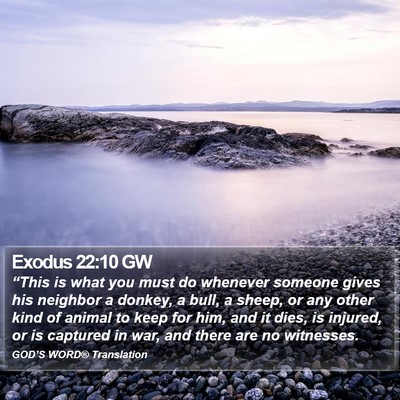 Exodus 22:10 GW Bible Verse Image