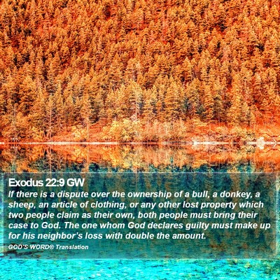 Exodus 22:9 GW Bible Verse Image