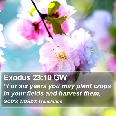 Exodus 23:10 GW Bible Verse Image