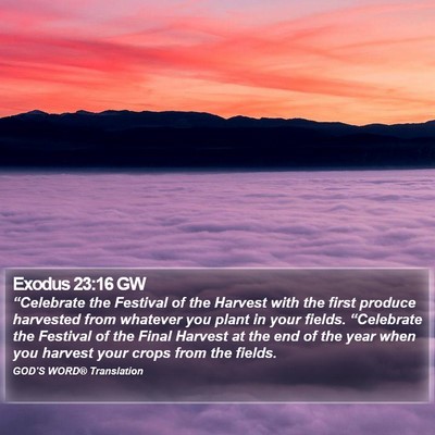 Exodus 23:16 GW Bible Verse Image