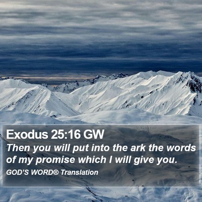 Exodus 25:16 GW Bible Verse Image