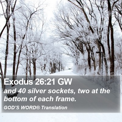 Exodus 26:21 GW Bible Verse Image