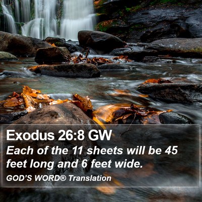 Exodus 26:8 GW Bible Verse Image