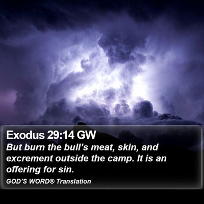 Exodus 29:14 GW Bible Verse Image