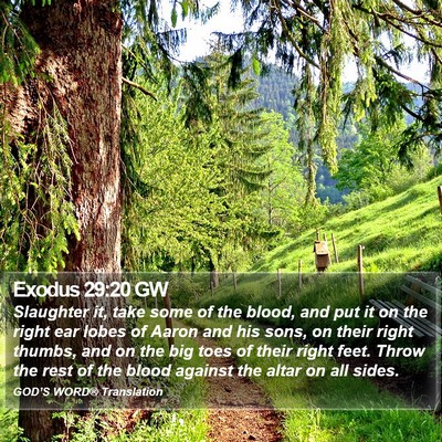 Exodus 29:20 GW Bible Verse Image