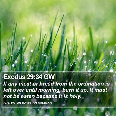 Exodus 29:34 GW Bible Verse Image