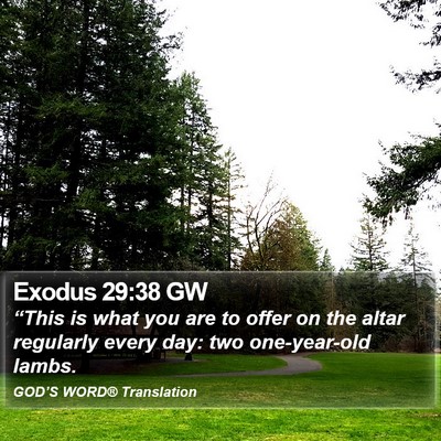 Exodus 29:38 GW Bible Verse Image