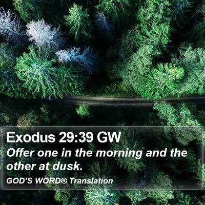 Exodus 29:39 GW Bible Verse Image