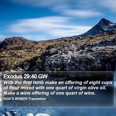 Exodus 29:40 GW Bible Verse Image